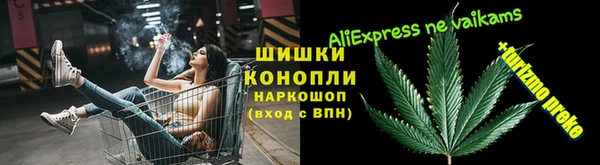 ПСИЛОЦИБИНОВЫЕ ГРИБЫ Балабаново