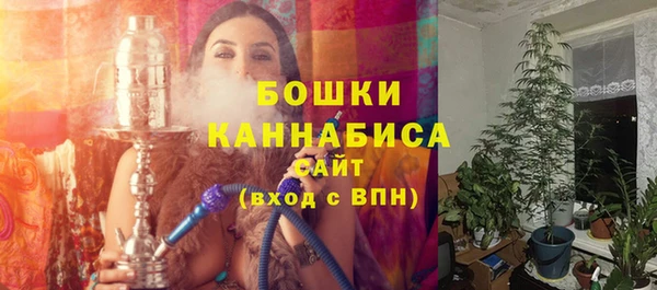 ПСИЛОЦИБИНОВЫЕ ГРИБЫ Балабаново