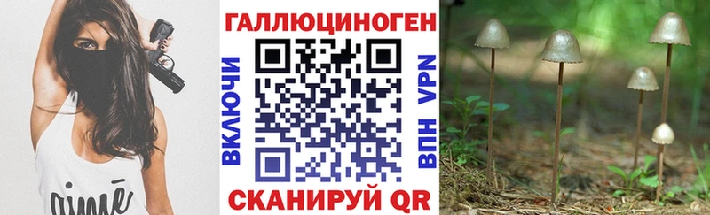 Галлюциногенные грибы GOLDEN TEACHER  MEGA вход  Выборг  где найти  